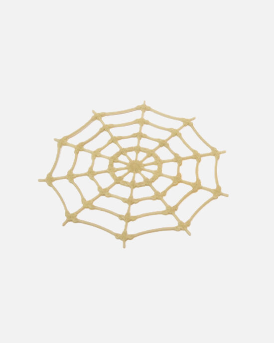 Gaismu atstarojošs zirnekļa tīkls